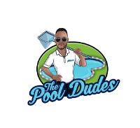 The Pool Dudes image 1